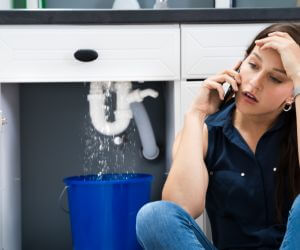 About Emergency plumbing pros Oldsmar, FL